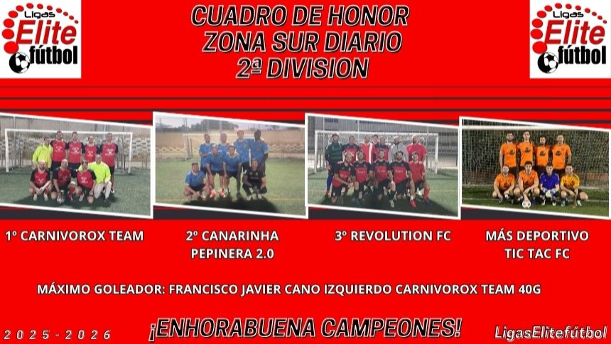 CUADRO DE HONOR ZONA SUR DIARIO 2ª DIVISION